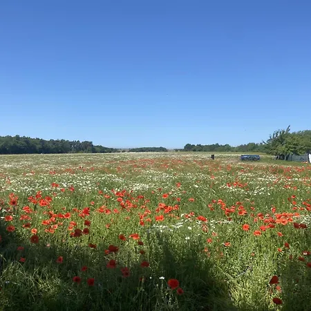 Camping Glamping Lille Strandbygard